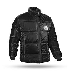 کاپشن مردانه North_Face مدل 3816